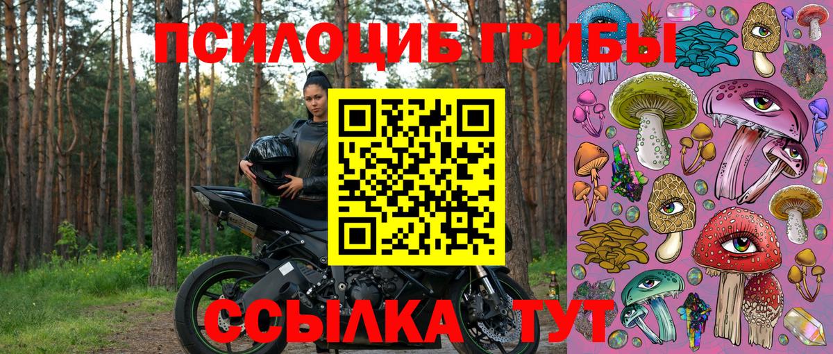 Назарово  Галлюциногенные грибы Psilocybe  Вход с VPN 