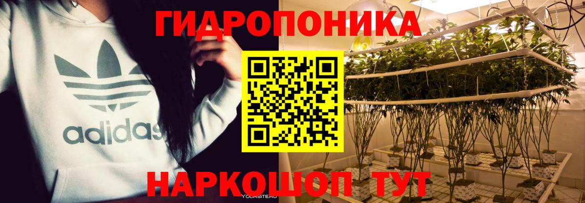 Бошки марихуана White Widow Назарово